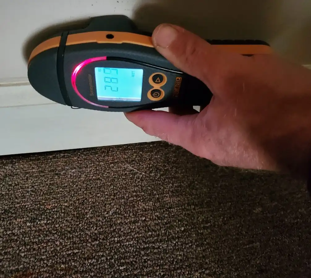 Moisture detection at baseboard during Sewage Cleanup & Sanitation in Granby